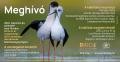 Birdo Az év madárfotósa 2023 díjnyertes alkotásainak kiállítása a Liszt Központban